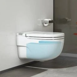 Roca In-Tank Meridian Wall Hung Toilet with Integrated Cistern, Soft Close Seat + Frame -Toilets Shop 893302000 D3 460