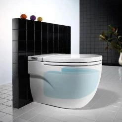 Roca In-Tank Meridian Back To Wall Toilet with Integrated Cistern + Soft Close Seat -Toilets Shop 893303000 D1 460