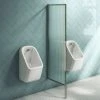 Arezzo Fluted Glass Chrome Framed Urinal Partition -Toilets Shop AZCHFP1 p1