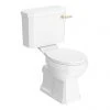 Arezzo Traditional Toilet with Brushed Brass Lever -Toilets Shop AZTCC BB p