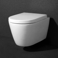 Arezzo Wall Hung Toilet incl. Soft Close Seat -Toilets Shop AZWHPAN D4 460