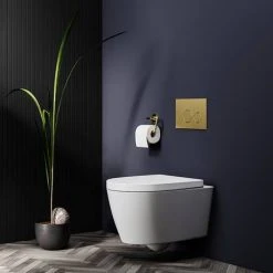 Arezzo Wall Hung Toilet incl. Soft Close Seat -Toilets Shop AZWHPAN d6 460