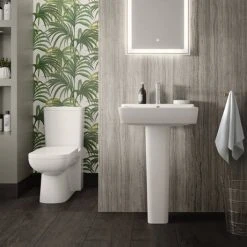 Hudson Reed Arlo Flush to Wall Toilet + Soft Close Seat -Toilets Shop CPC001 detail3 460