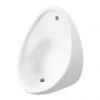 Cove 500mm Urinal Bowl -Toilets Shop CVURBOW40 p 1