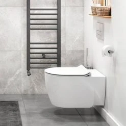 Crosswater Kai X Wall Hung Pan + Soft Close Thin Seat -Toilets Shop KAIX WC3 D2 460