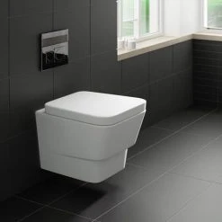 Nuie Cambria Wall Hung Toilet with Dual Flush Concealed Cistern + Wall Hung Frame 7 Nuie Cambria Wall Hung Toilet with Dual Flush Concealed Cistern + Wall Hung Frame -Toilets Shop NCR340 XTY005 detail1 460