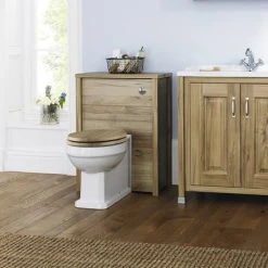 Old London Richmond Traditional Back To Wall Pan + Soft Close Seat -Toilets Shop OL BTW CG d3 460