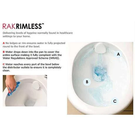 RAK Resort Mini Rimless Close Coupled BTW Toilet + Quick Release Soft Close Urea Seat 4 RAK Resort Mini Rimless Close Coupled BTW Toilet + Quick Release Soft Close Urea Seat - Image 2