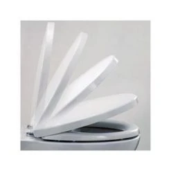 RAK - Tonique Back to wall pan with soft-close seat -Toilets Shop RAKToniqueBacktowallpanwithsoftcloseseatd2 375