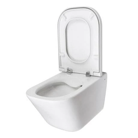 Roca The Gap Rimless Wall Hung Toilet + Slim Soft Close Seat 7 Roca The Gap Rimless Wall Hung Toilet + Slim Soft Close Seat - Image 5