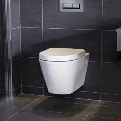 RAK Resort Wall Hung Rimless Pan + Quick Release Soft Close Urea Seat -Toilets Shop RSTWHPAN SC detail3 460