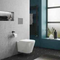 RAK Resort Wall Hung Rimless Pan + Quick Release Soft Close Urea Seat -Toilets Shop RSTWHPAN SC detail4 460