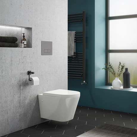 RAK Resort Wall Hung Rimless Pan incl. Dual Flush Concealed WC Cistern with Frame 7 RAK Resort Wall Hung Rimless Pan incl. Dual Flush Concealed WC Cistern with Frame - Image 5