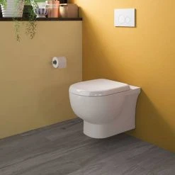 RAK Tonique Wall Hung Rimless Pan + Quick Release Soft Close Seat -Toilets Shop TONRWHSC D1 460